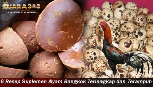 Resep Suplemen Ayam Bangkok Terlengkap dan Terampuh